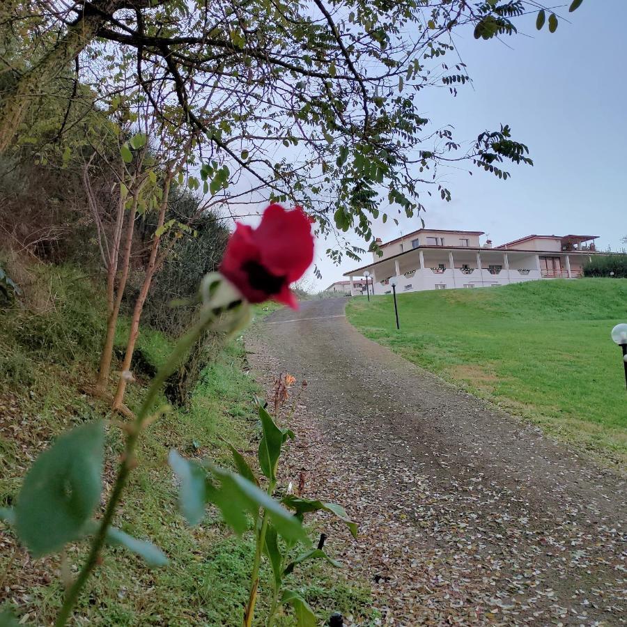 Bed and Breakfast la staccionata bianca Viterbo Exterior foto